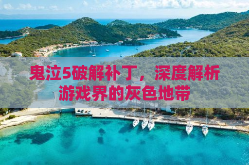 鬼泣5破解补丁，深度解析游戏界的灰色地带