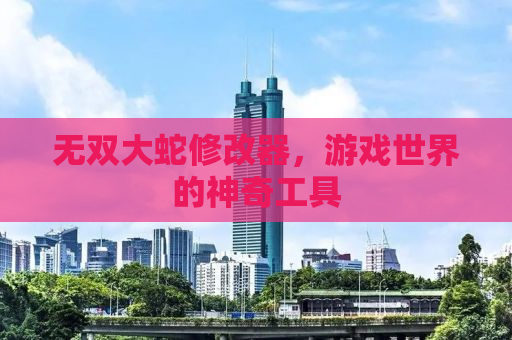 无双大蛇修改器，游戏世界的神奇工具