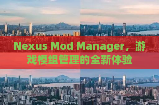Nexus Mod Manager，游戏模组管理的全新体验