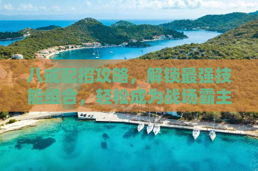 八戒配招攻略，解锁最强技能组合，轻松成为战场霸主！