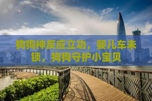 狗狗神反应立功，婴儿车未锁，狗狗守护小宝贝