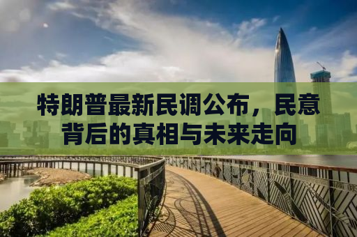 特朗普最新民调公布，民意背后的真相与未来走向