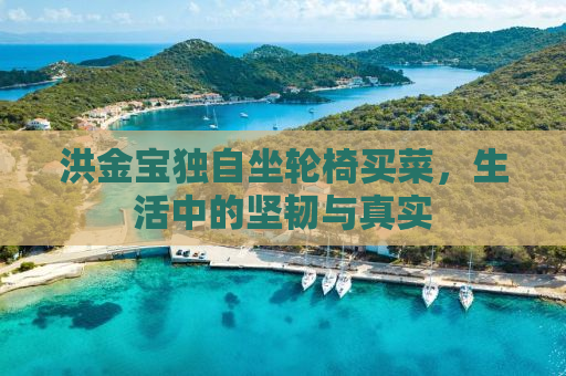 洪金宝独自坐轮椅买菜，生活中的坚韧与真实