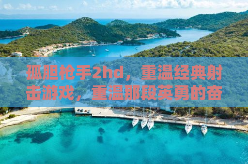 孤胆枪手2hd，重温经典射击游戏，重温那段英勇的奋战时光