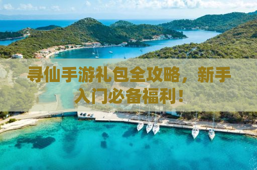 寻仙手游礼包全攻略，新手入门必备福利！
