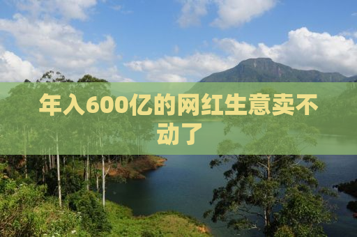 年入600亿的网红生意卖不动了