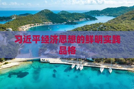 习近平经济思想的鲜明实践品格