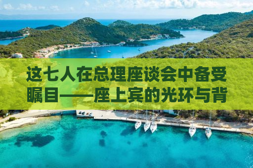 这七人在总理座谈会中备受瞩目——座上宾的光环与背后的故事