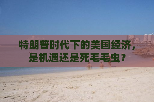 特朗普时代下的美国经济，是机遇还是死毛毛虫？