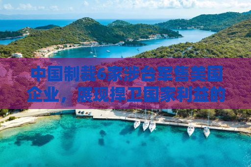 中国制裁6家涉台军售美国企业，展现捍卫国家利益的决心与行动