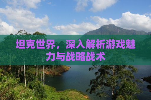 坦克世界，深入解析游戏魅力与战略战术
