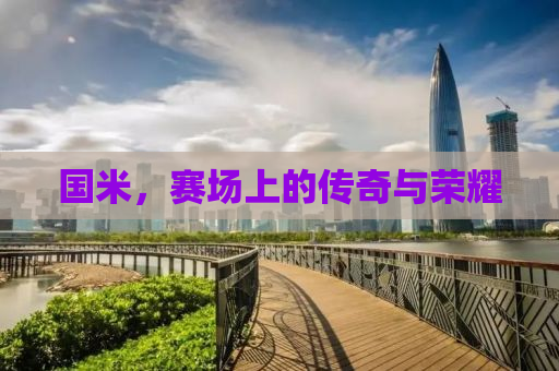 国米，赛场上的传奇与荣耀