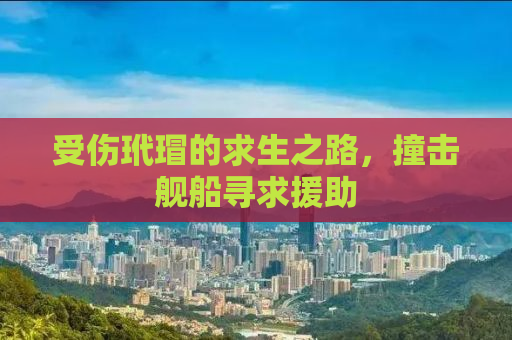 受伤玳瑁的求生之路，撞击舰船寻求援助