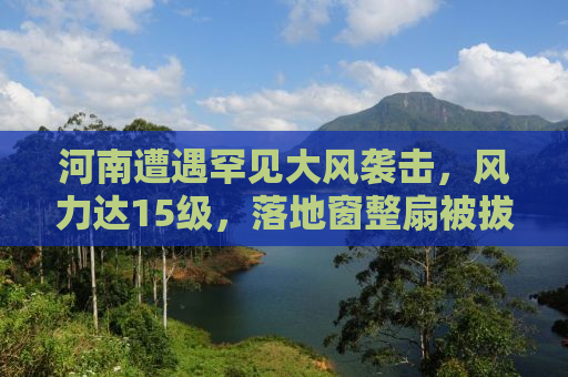 河南遭遇罕见大风袭击，风力达15级，落地窗整扇被拔掉！
