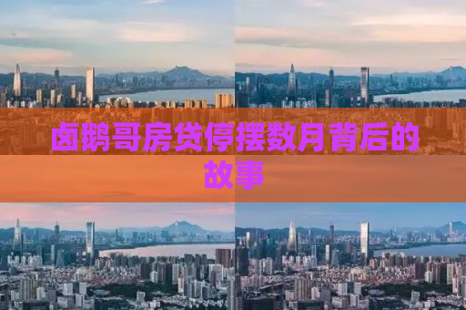 卤鹅哥房贷停摆数月背后的故事