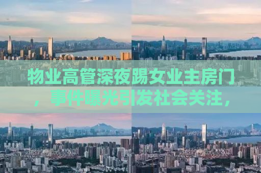 物业高管深夜踢女业主房门，事件曝光引发社会关注，警方立案调查