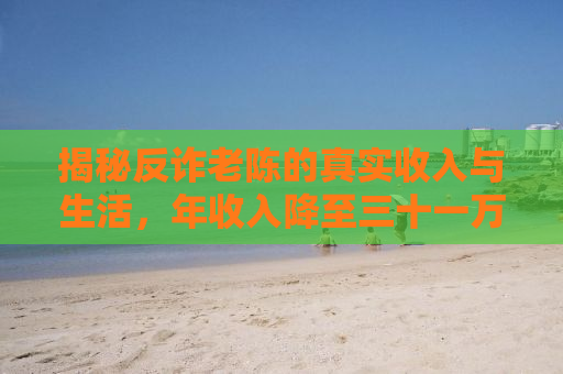 揭秘反诈老陈的真实收入与生活，年收入降至三十一万背后的故事