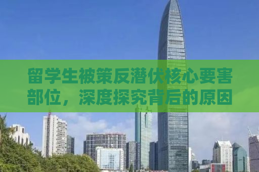 留学生被策反潜伏核心要害部位，深度探究背后的原因与应对之策