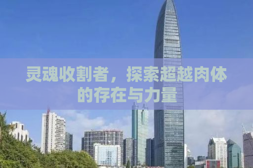 灵魂收割者，探索超越肉体的存在与力量