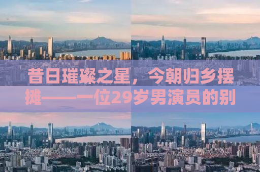 昔日璀璨之星，今朝归乡摆摊——一位29岁男演员的别样人生旅程