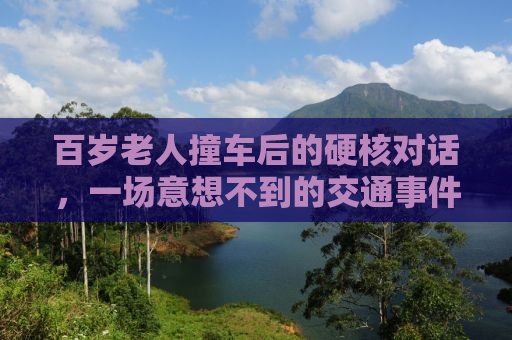 百岁老人撞车后的硬核对话，一场意想不到的交通事件
