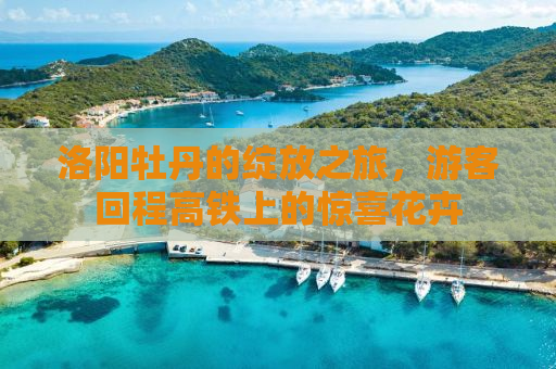 洛阳牡丹的绽放之旅，游客回程高铁上的惊喜花卉