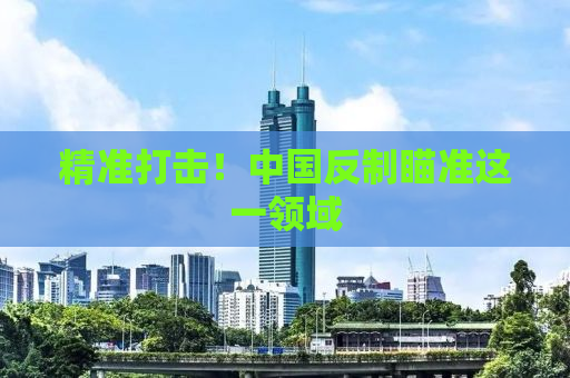 精准打击！中国反制瞄准这一领域