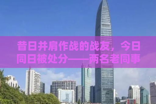 昔日并肩作战的战友，今日同日被处分——两名老同事的警示录