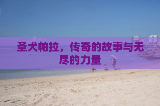 圣犬帕拉，传奇的故事与无尽的力量