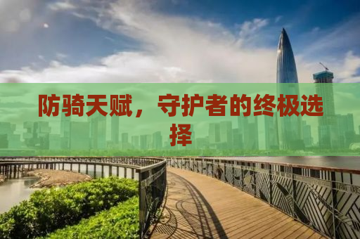防骑天赋，守护者的终极选择