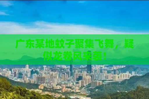 广东某地蚊子聚集飞舞，疑似龙卷风来袭！