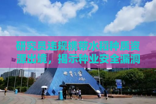 研究员违规携带水稻种质资源出境，揭示种业安全漏洞与监管漏洞