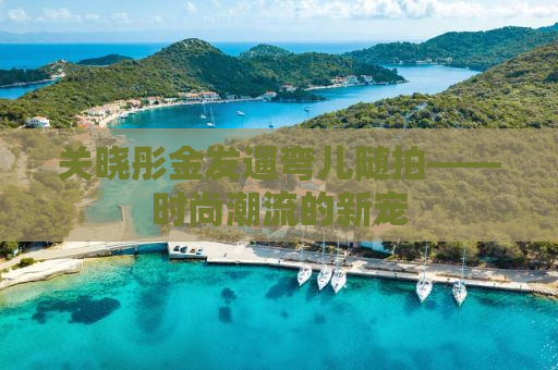 关晓彤金发遛弯儿随拍——时尚潮流的新宠