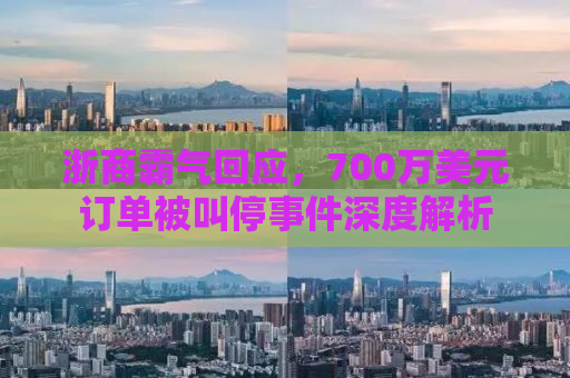 浙商霸气回应，700万美元订单被叫停事件深度解析