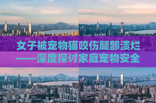 女子被宠物猫咬伤腿部溃烂——深度探讨家庭宠物安全与动物行为学知识