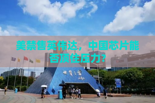 美禁售英伟达，中国芯片能否顶住压力？