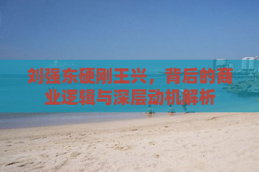 刘强东硬刚王兴，背后的商业逻辑与深层动机解析