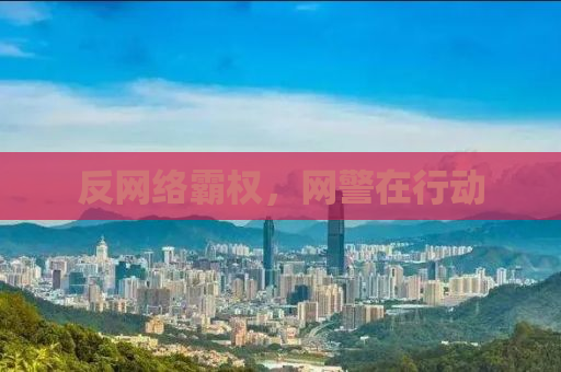 反网络霸权，网警在行动