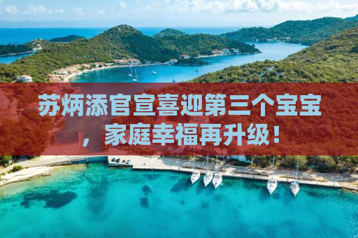 苏炳添官宣喜迎第三个宝宝，家庭幸福再升级！
