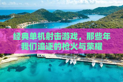 经典单机射击游戏，那些年我们追逐的枪火与荣耀