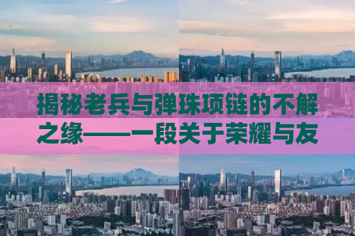 揭秘老兵与弹珠项链的不解之缘——一段关于荣耀与友情的传奇故事