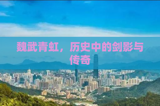 魏武青虹，历史中的剑影与传奇
