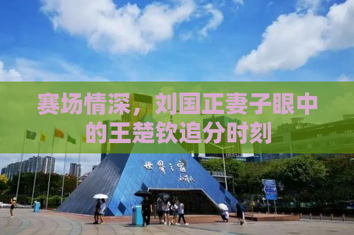 赛场情深，刘国正妻子眼中的王楚钦追分时刻