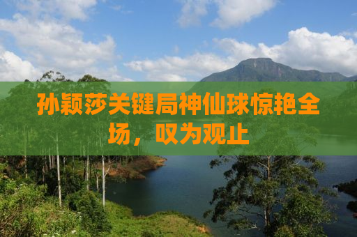 孙颖莎关键局神仙球惊艳全场，叹为观止