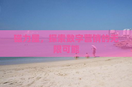 磁力屋，探索数字营销的无限可能