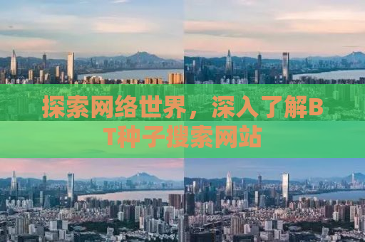 探索网络世界，深入了解BT种子搜索网站
