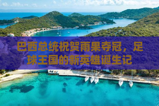 巴西总统祝贺雨果夺冠，足球王国的新英雄诞生记