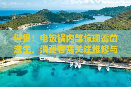 警惕！电饭锅内部惊现霉菌滋生，消费者需关注维修与清洁问题