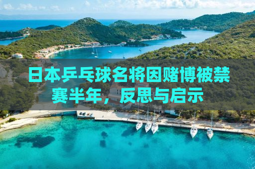 日本乒乓球名将因赌博被禁赛半年，反思与启示
