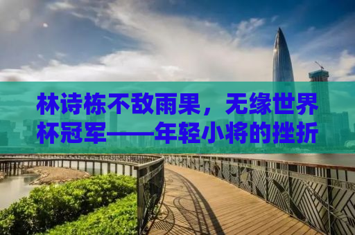 林诗栋不敌雨果，无缘世界杯冠军——年轻小将的挫折与成长之路